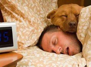 The Biology of Sleep: Why Do We Need It?
